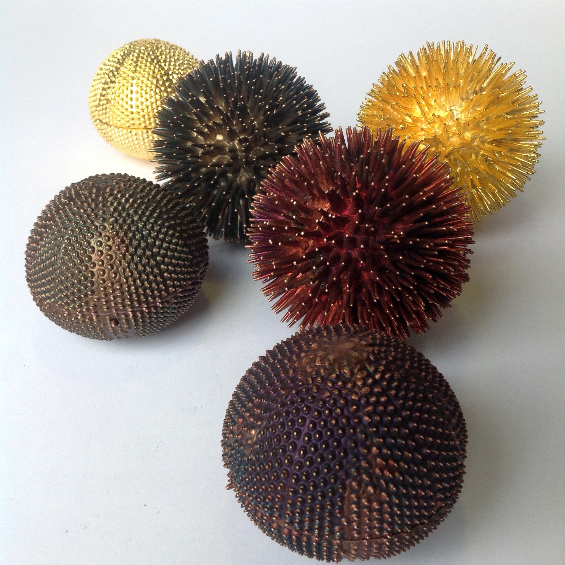 Sea Urchins 